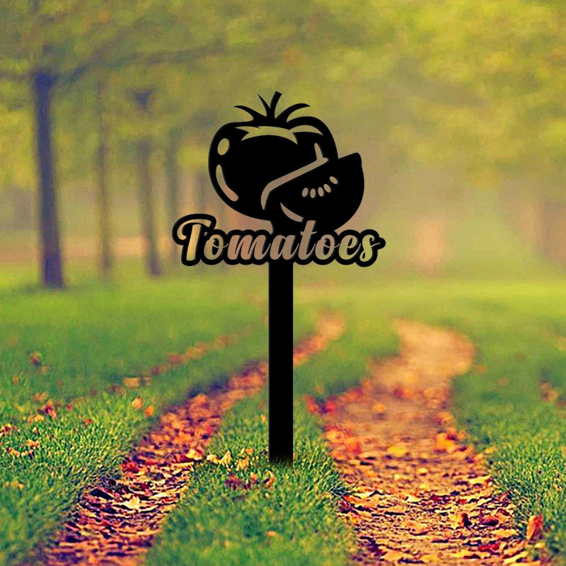 Tomato plantation vegetable ga - Art Craft Vegetables ulasan dan harga